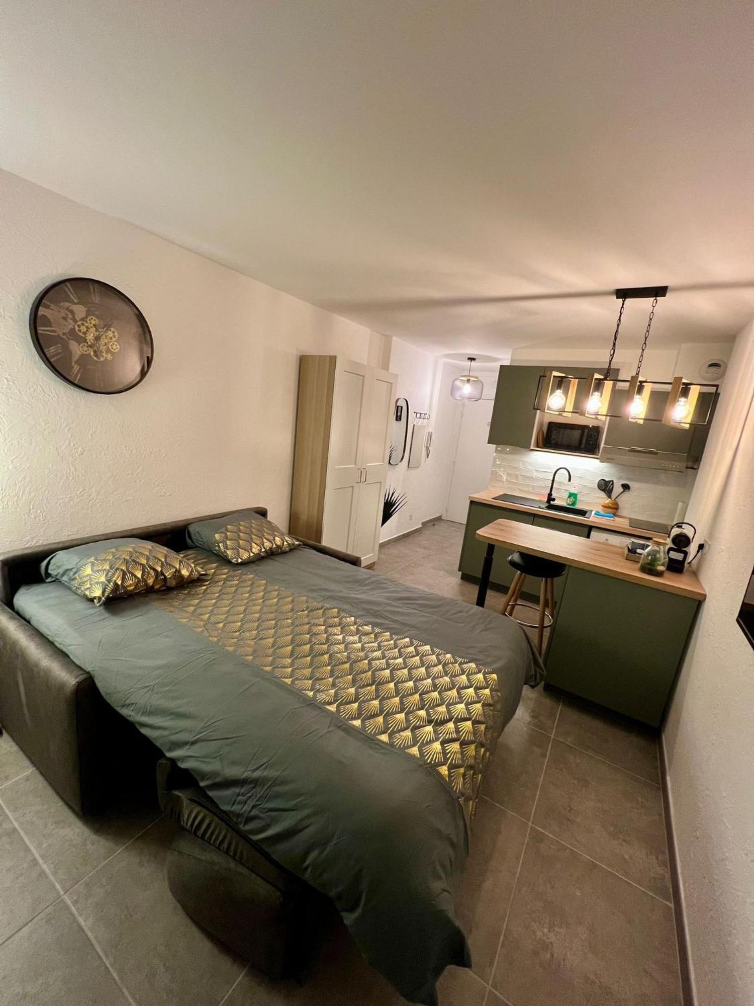 Studio Climatise, Cosy Et Calme Au Centre Ville Αντίμπ Εξωτερικό φωτογραφία